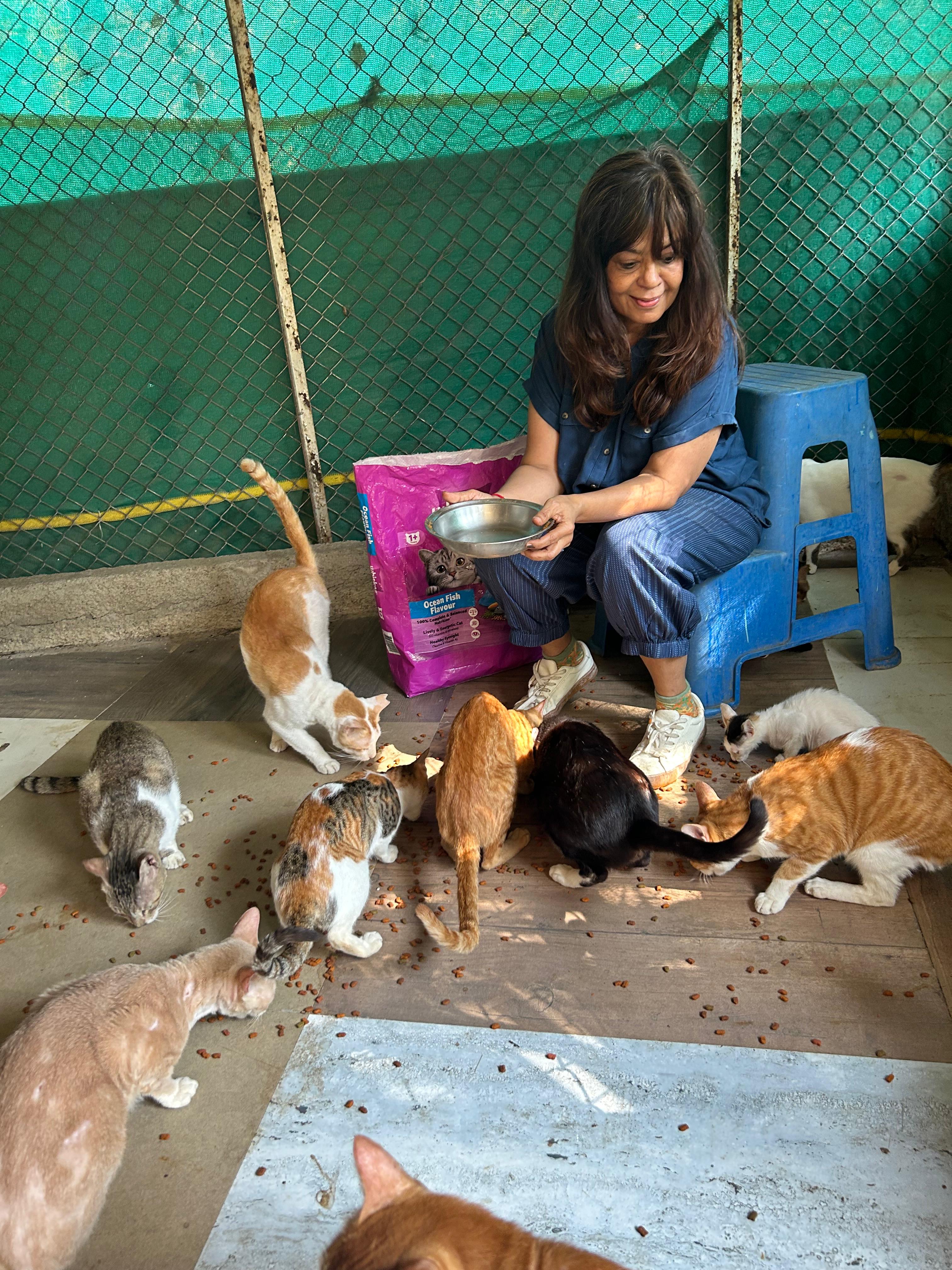 Woman smiling while feeding cats at the shelter