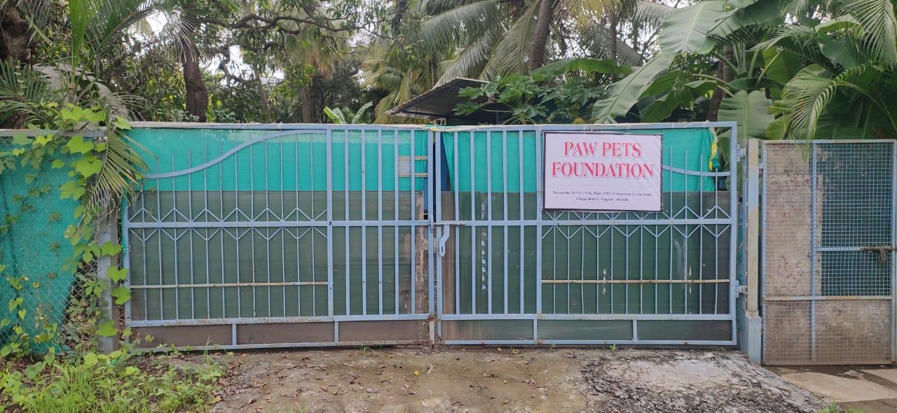 Paw Pets Foundation entrance gate