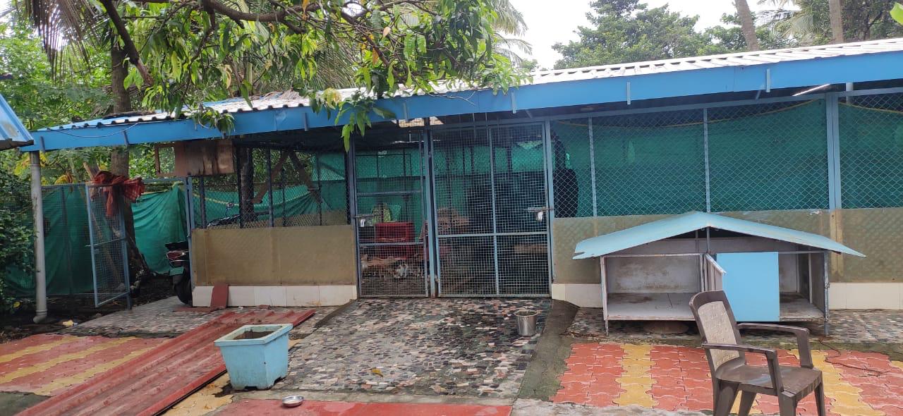 Paw Pets Foundation shelter facility in Palghar
