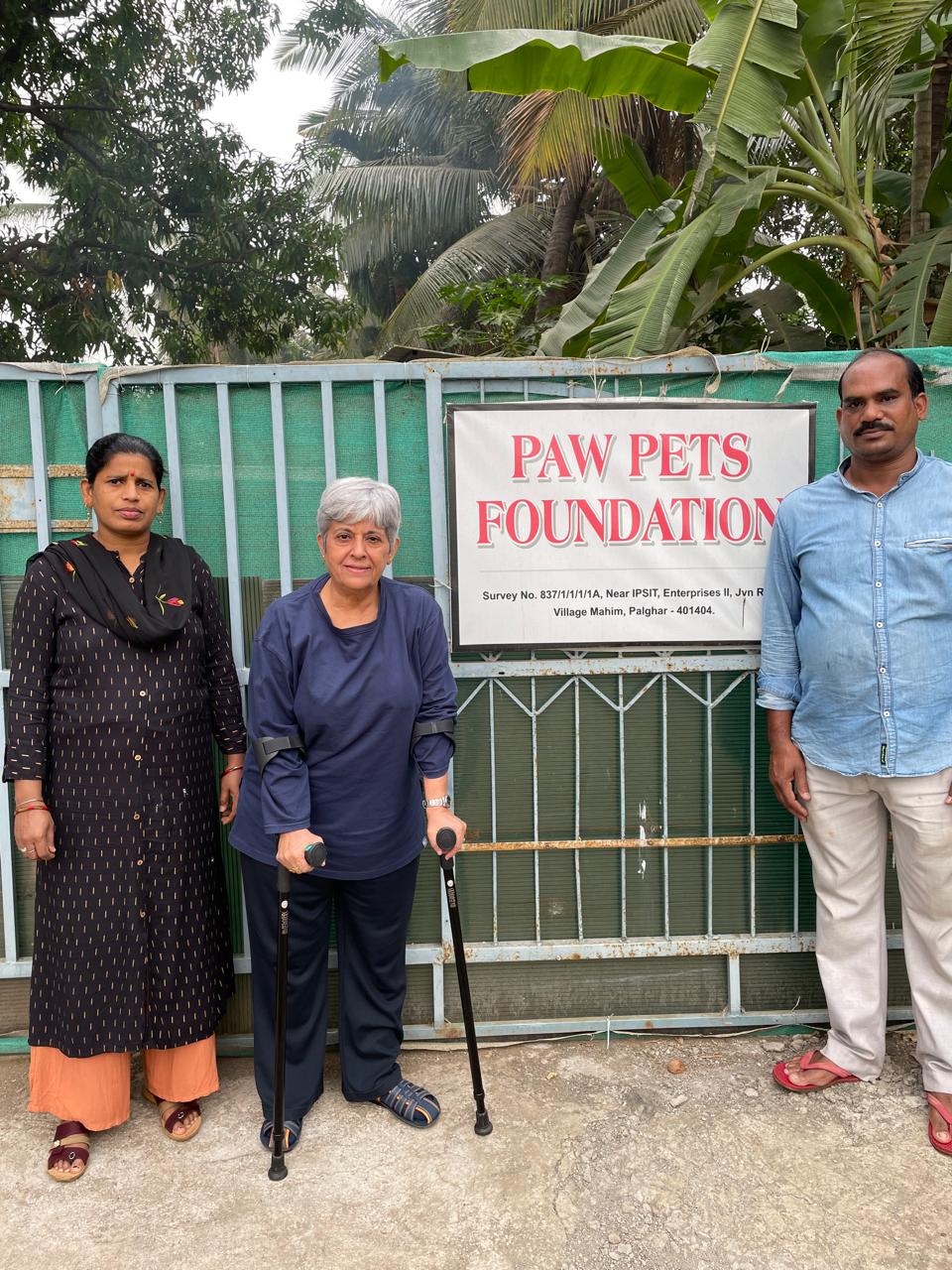 Shelter activities and animal care